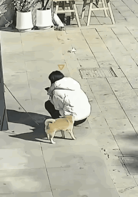 狗狗：打上我的专属标记，以后你就是我的人啦！