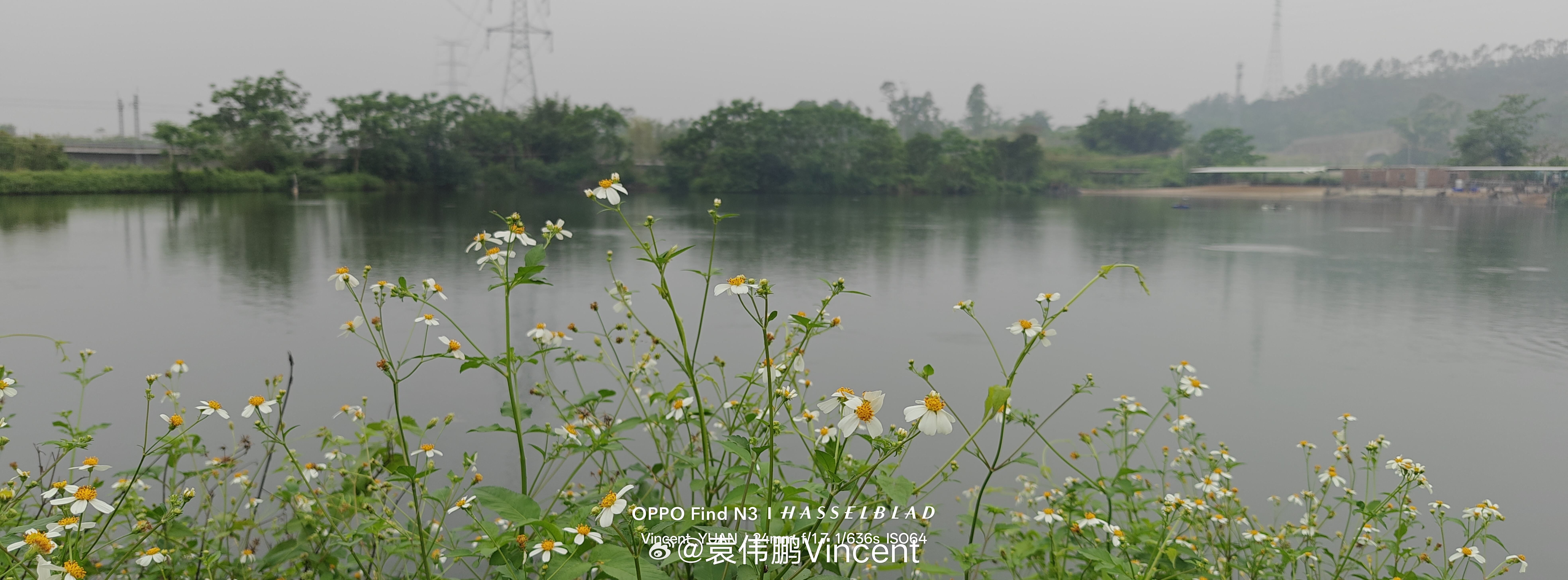 清明时节雨纷纷随手拍春天