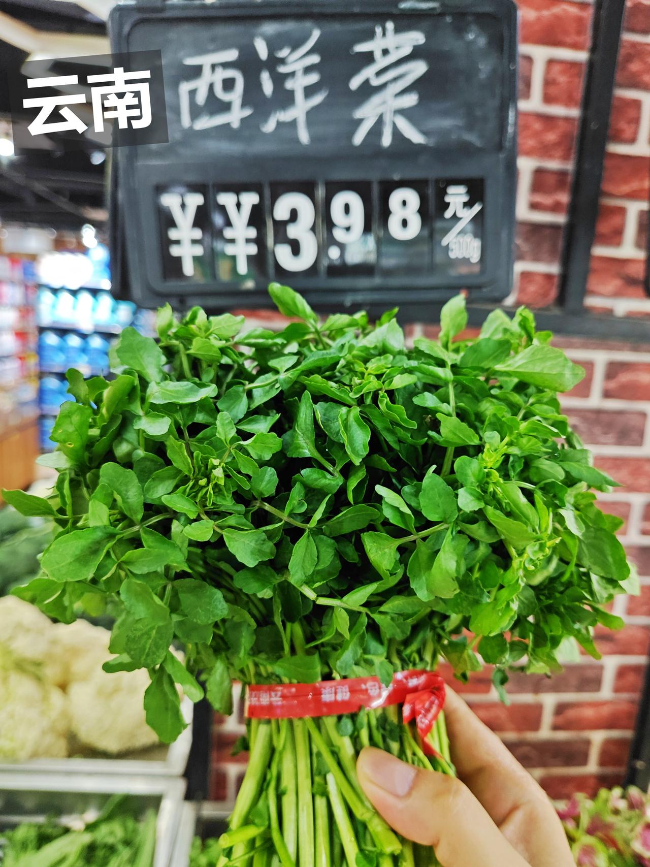 反季节云南西洋菜，嫩度味道略逊，价格不错。
产地是云南文山，旱地西洋菜，3.98