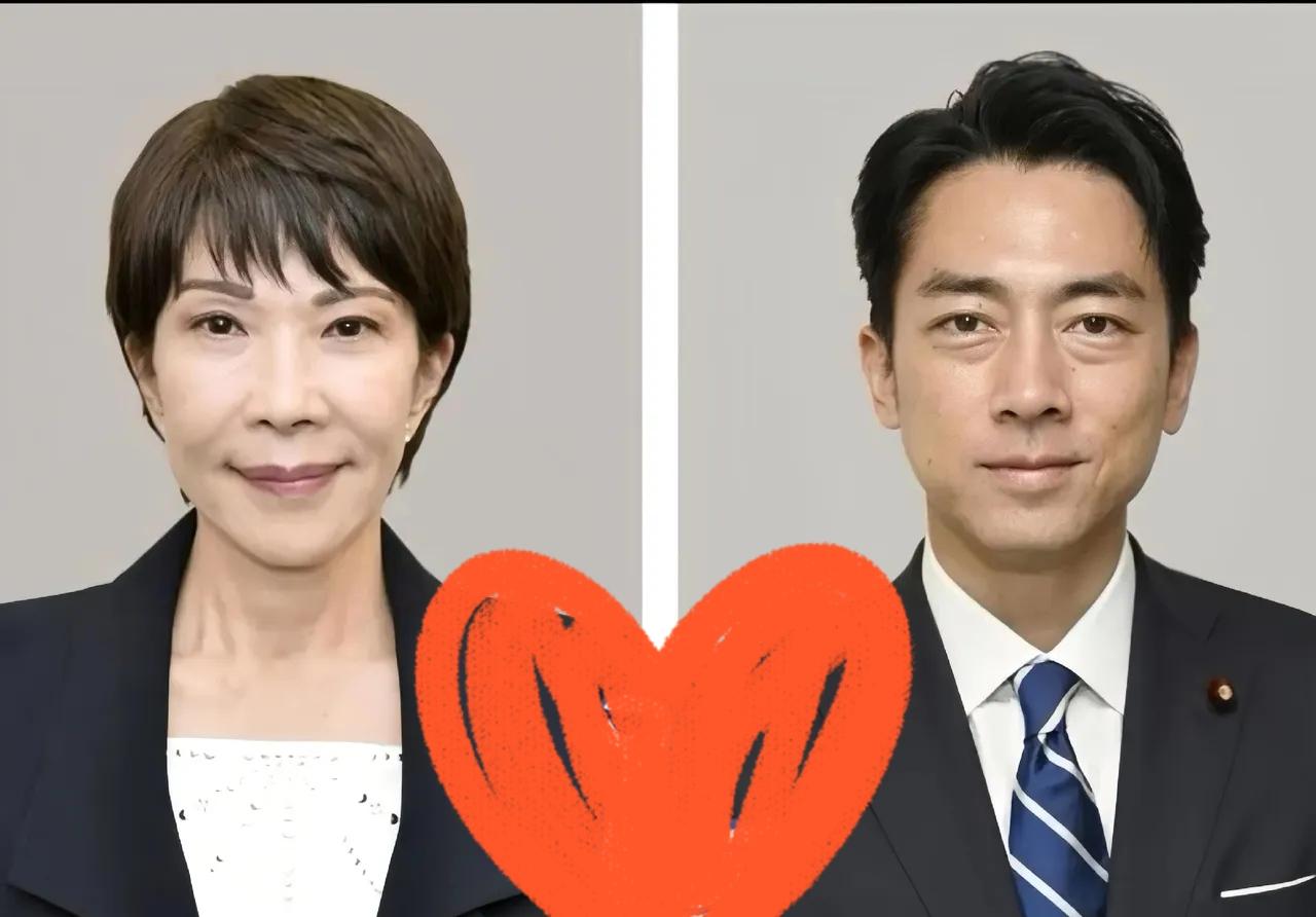 日本政坛最近这波“晒家底”，真是把大家伙儿看傻眼了！

12月5日，高市早苗内阁