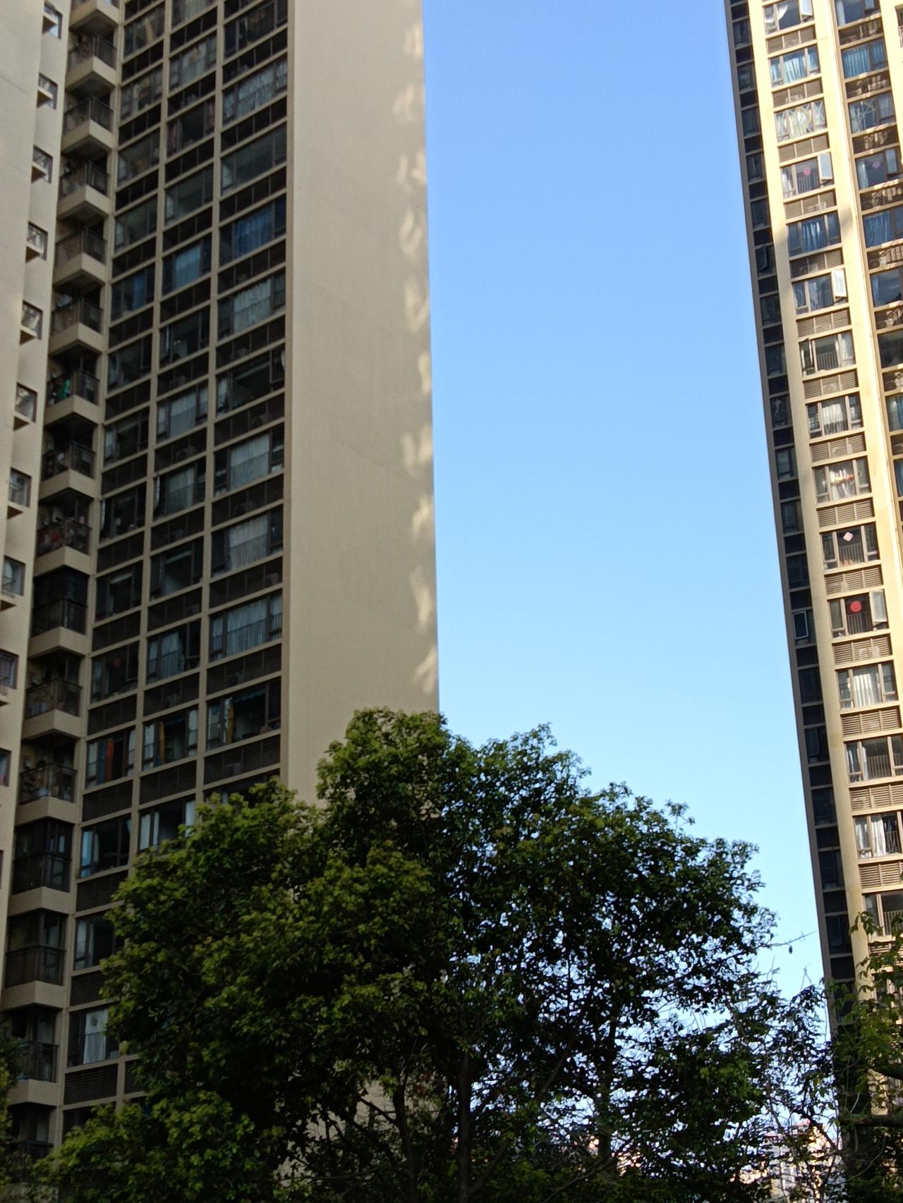 现在丢人丢大了。

去年老公战友打电话下通知说，
他的儿子今年五一节要结婚了，