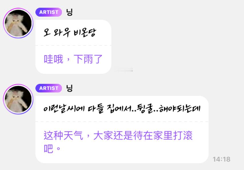 小猫树洞 250501🌧️哇 是什么呢🤔 ​​​