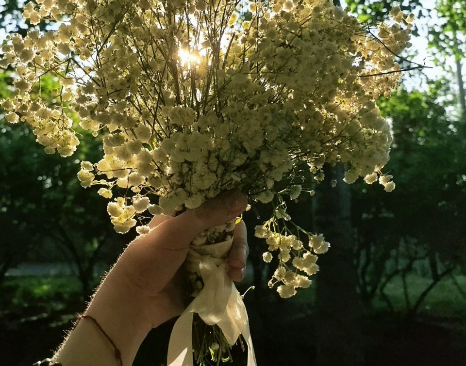 阳光下手臂上的绒毛好可爱啊....orz 