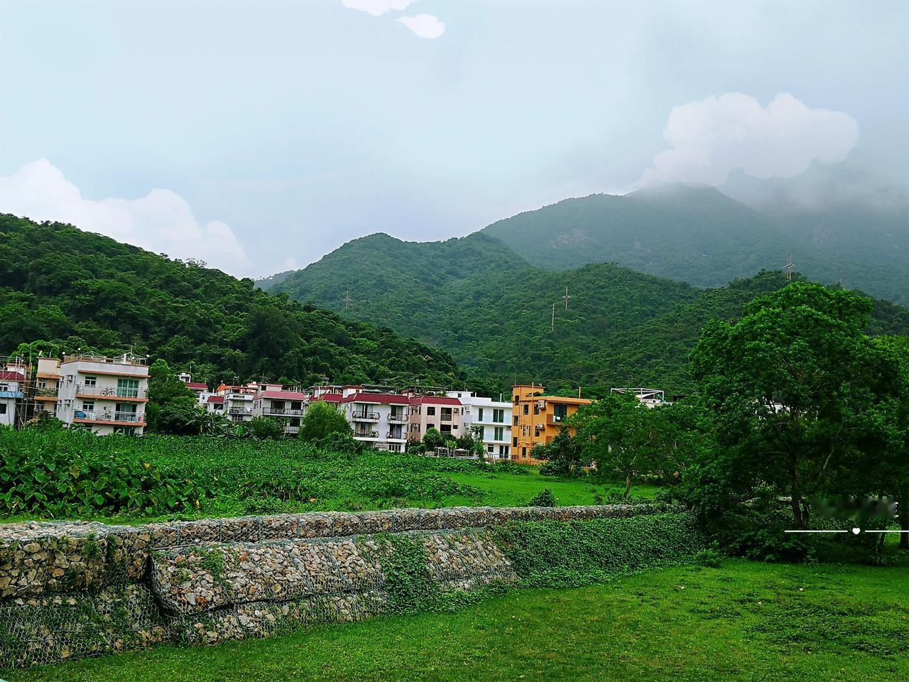 上联：雨润青草连天碧，
上联：七月之雨，润物微凉，心有所栖寻暖处，
下联：您请对