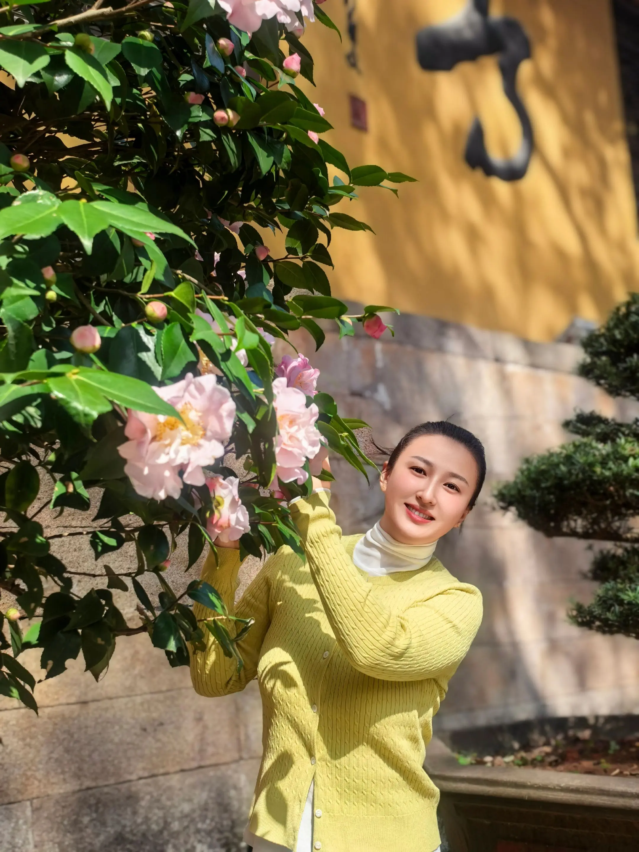 越来越好
