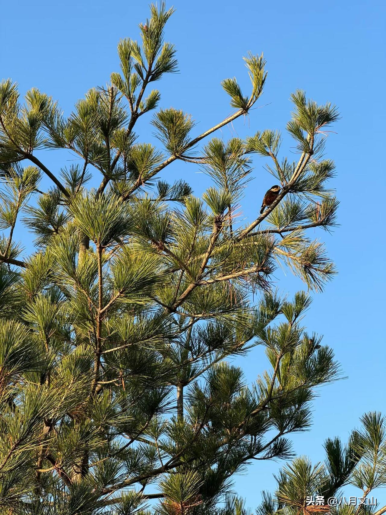 咱们普通人赚不到钱，真不是不够勤快，也不是脑子笨，就是一根筋埋头死干，完全没搞懂