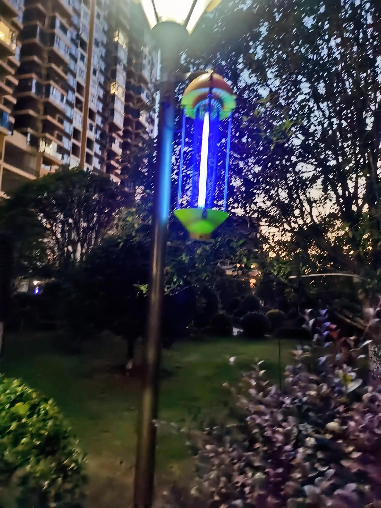 我的今日状态：😁轻松愉快
我这里的天气：☀️晴天

在小区散步时，时常听见啪啪