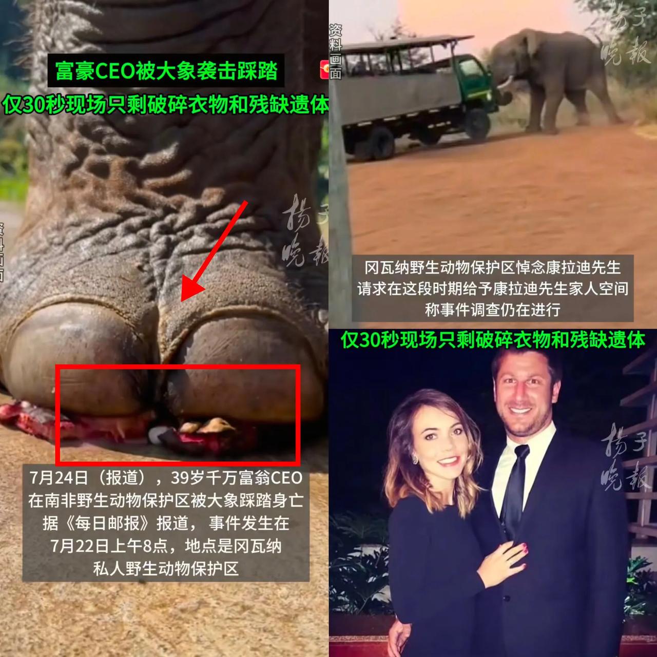 就短短30秒，
39岁的千万富豪CEO，
竟被

6吨重的野生大象袭击踩踏，现场