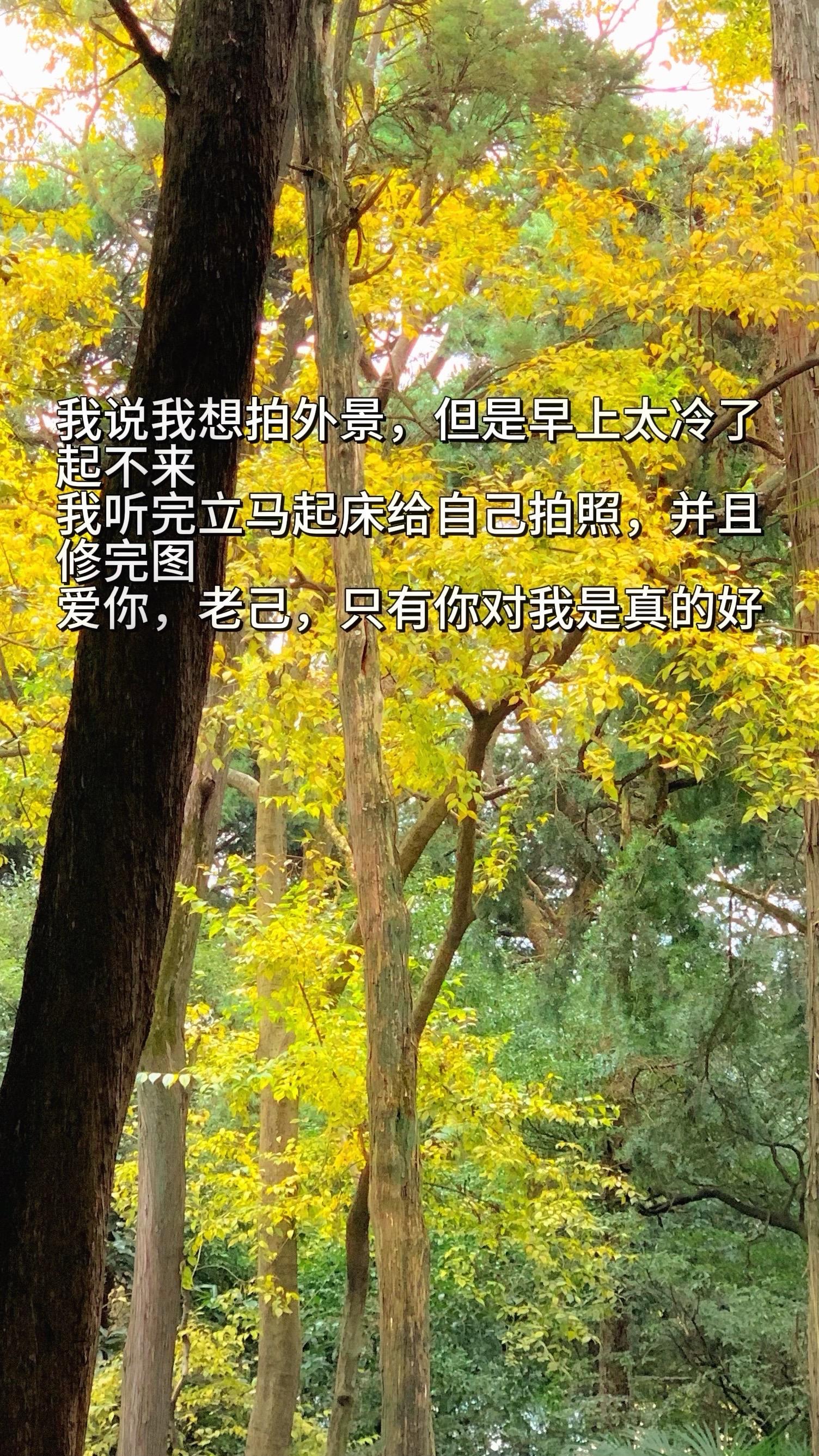 一直陪自己的只有老己。感谢自己不离不弃