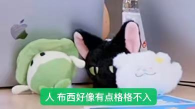 我跟的大作 布西表情包+1[馋嘴] ​​​