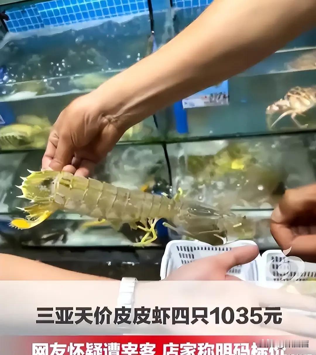 4只皮皮虾1035元事件反转！43岁店主被网暴后离世，店铺遭威胁被迫关门
 
谁