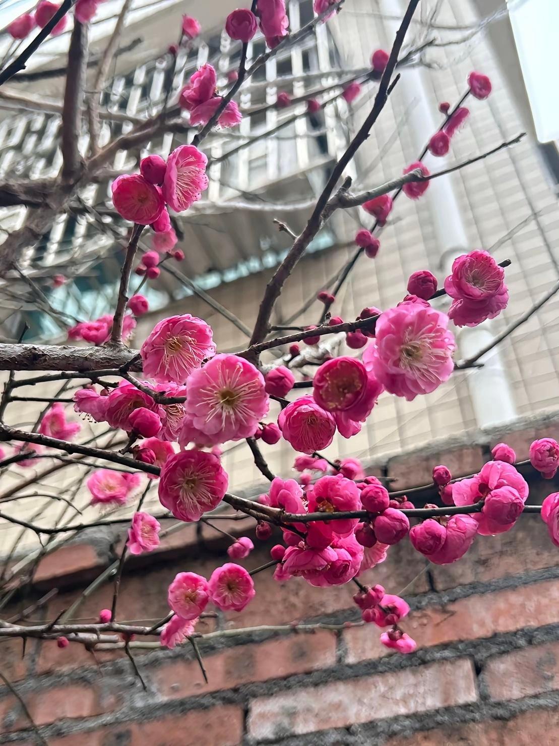 别让任何人消耗你内心的晴朗 生活应该是被热爱的人和事填满 