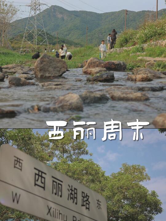 这些皆是 我还一直喜欢西丽这地方的理由