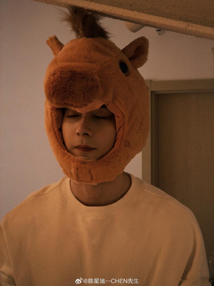 陈星旭戴小马头套  陈星旭戴小马头套把我眼泪都给笑出来了呀，发现他可真的是模糊的