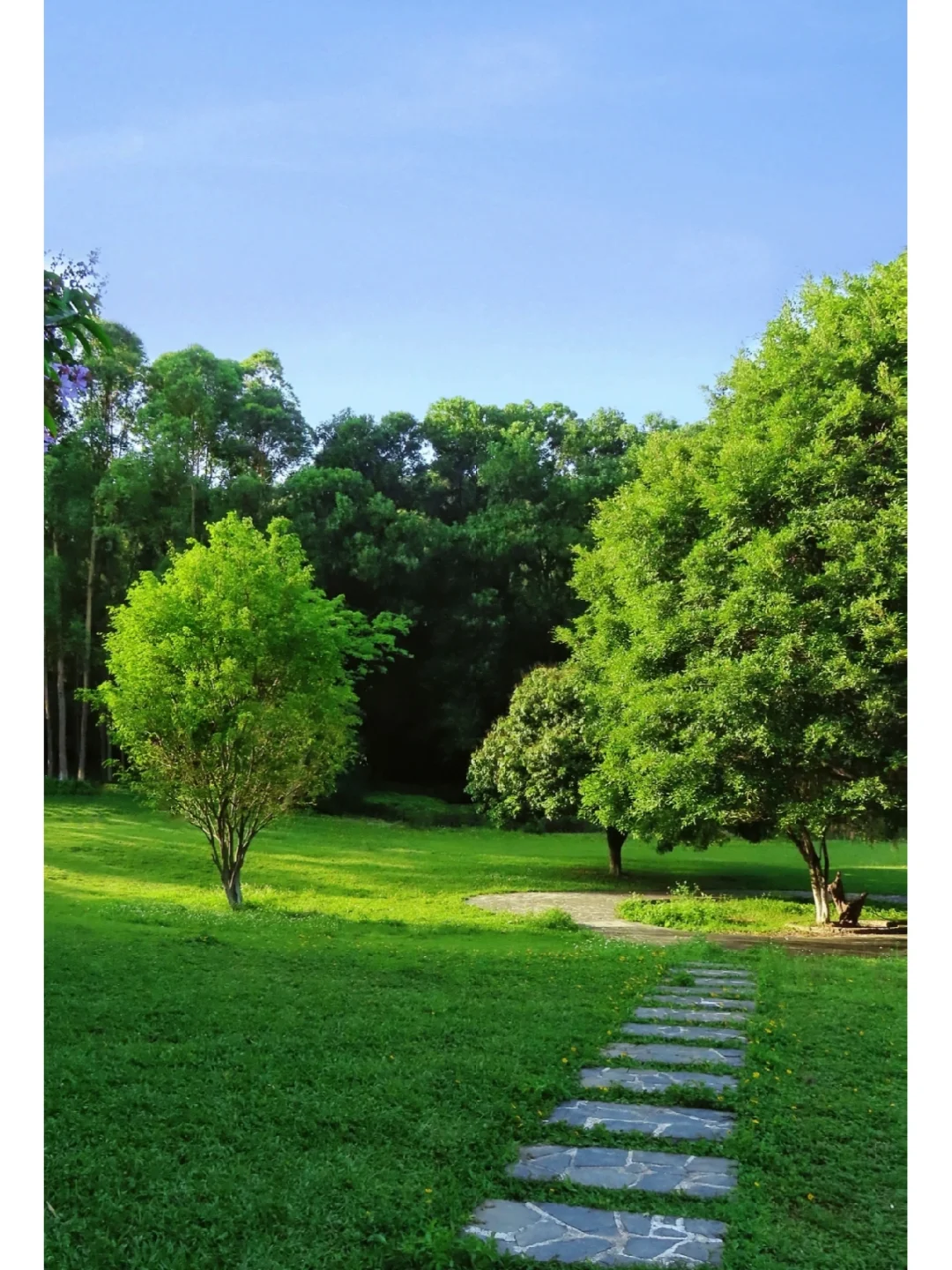 天哪‼️东莞这里就是现实版的油画🌲