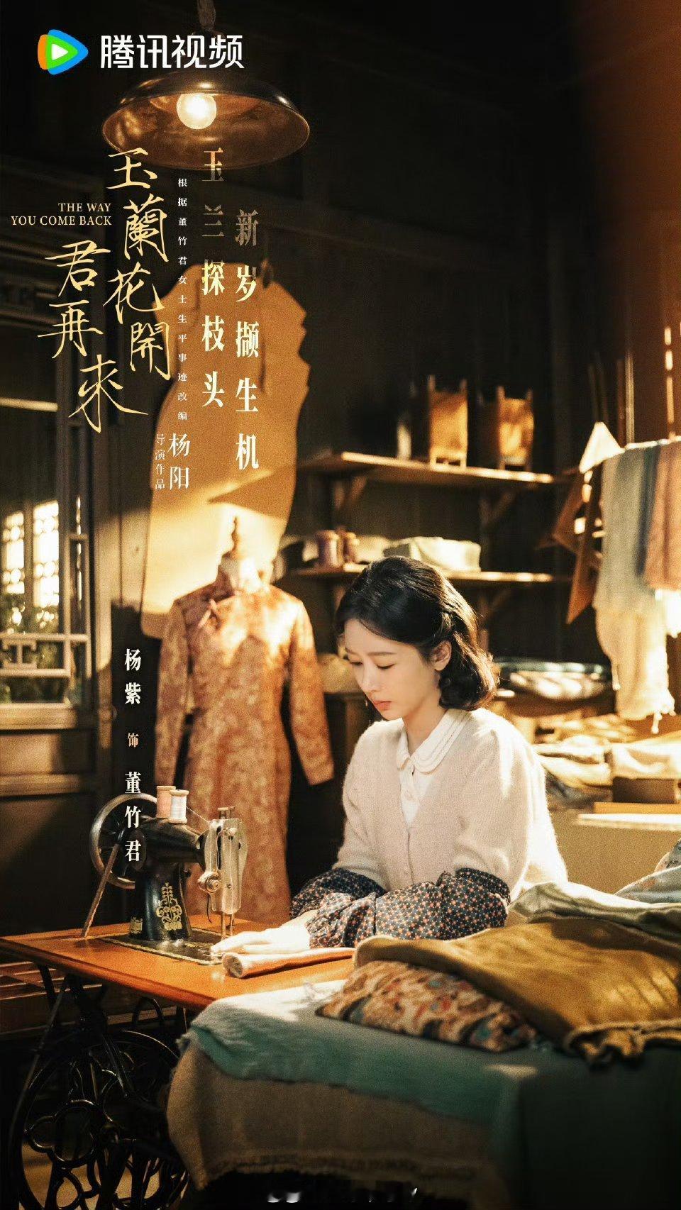 杨紫《玉兰花开君再来》新春角色剧照 