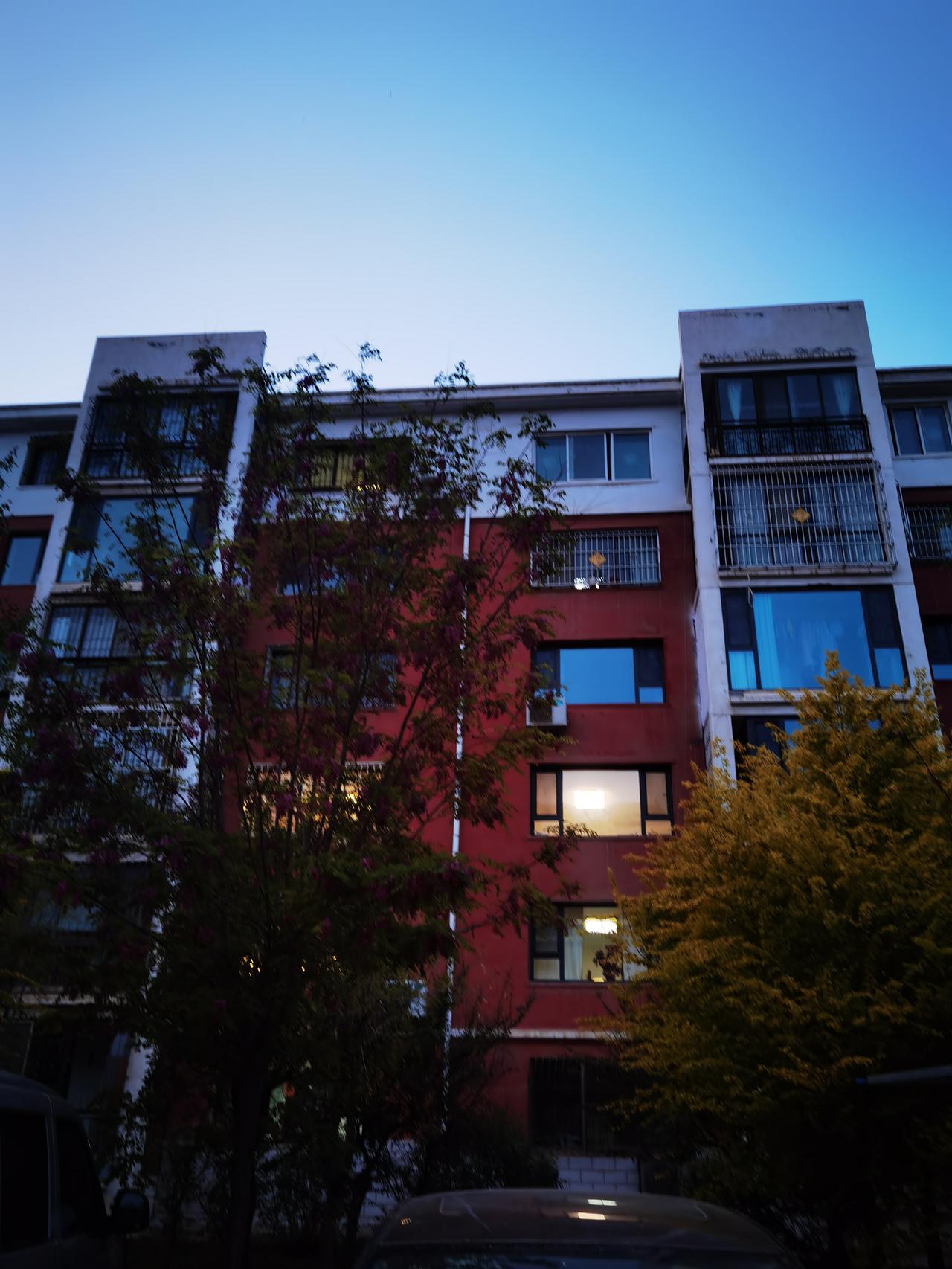 以前每到五一，都要跟着旅游团出去瞎逛，全是名胜古迹，累得像一匹喘气的老马。想想都