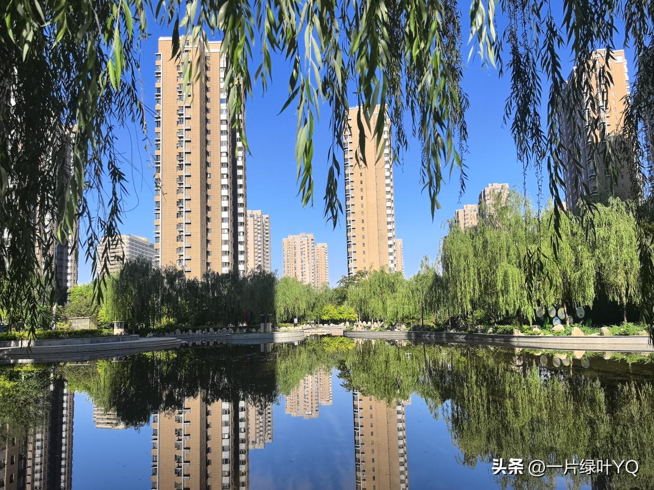 晴日柳垂高楼影，
一池清浅映照蓝天。
