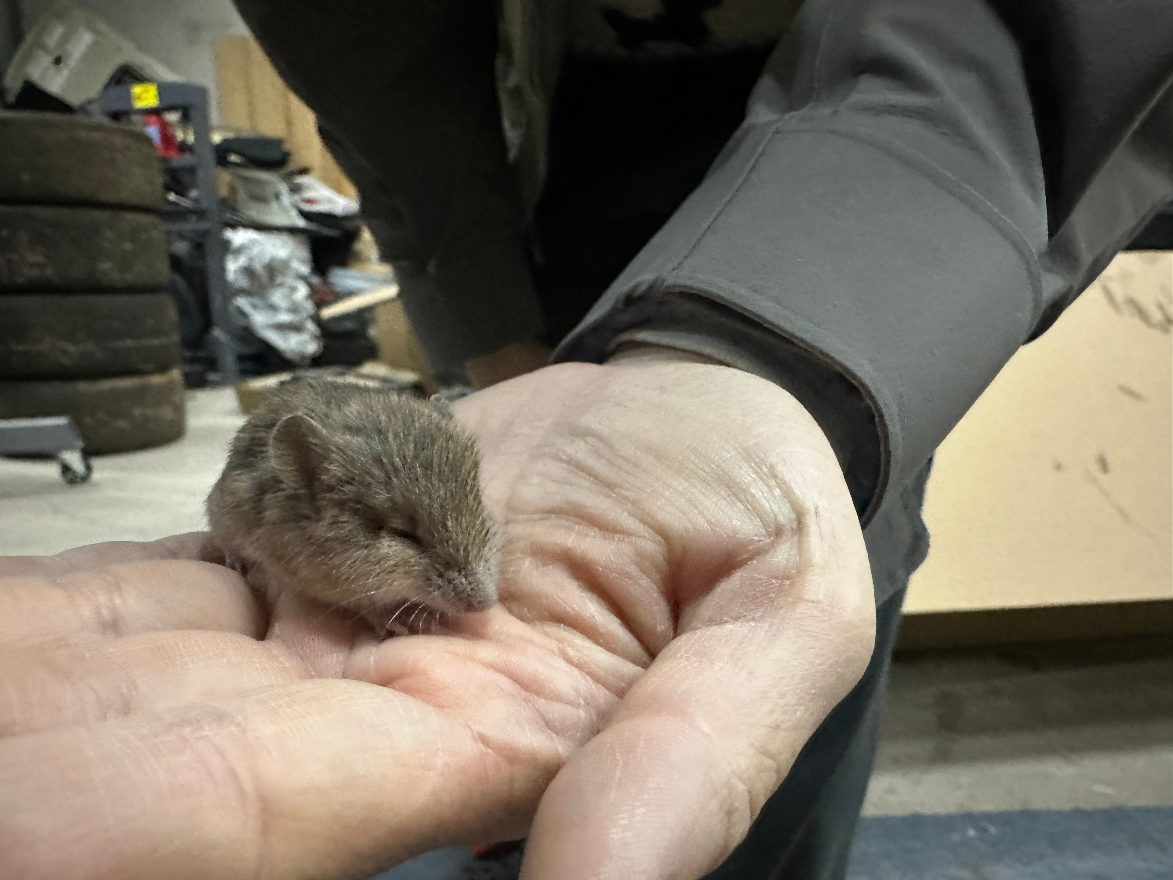 下班下班最近事情比较多。几个车在这里排队。本来8点下班的。扛着7度的气温加了3小