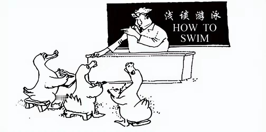 他是在给它们讲啥呢，难不成门外汉也敢班门弄斧，给专家讲专业知识？