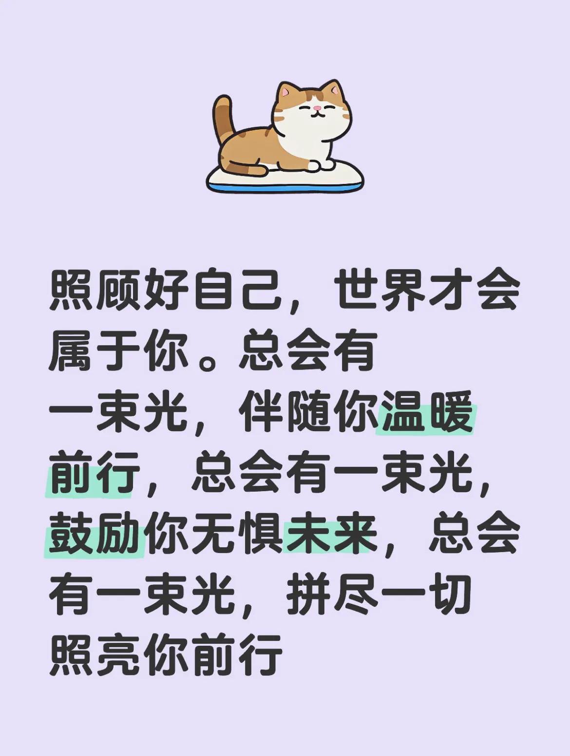 温暖猫咪的治愈语录，照亮你前行！