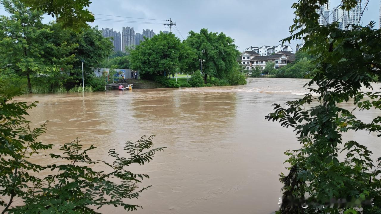 涨水一夜之间，水位悄然上涨，街巷泛起微澜，小城仿佛被温柔浸润。雨丝轻落，水面浮光