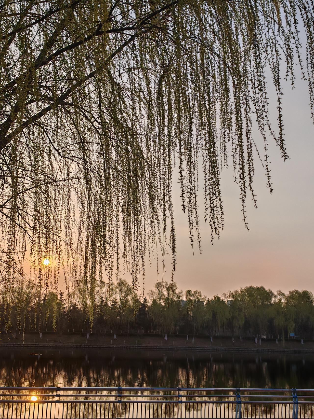 现在卖房到底是聪明还是傻？
有人觉得现在卖房能及时止损，毕竟房地产行情越来越差。