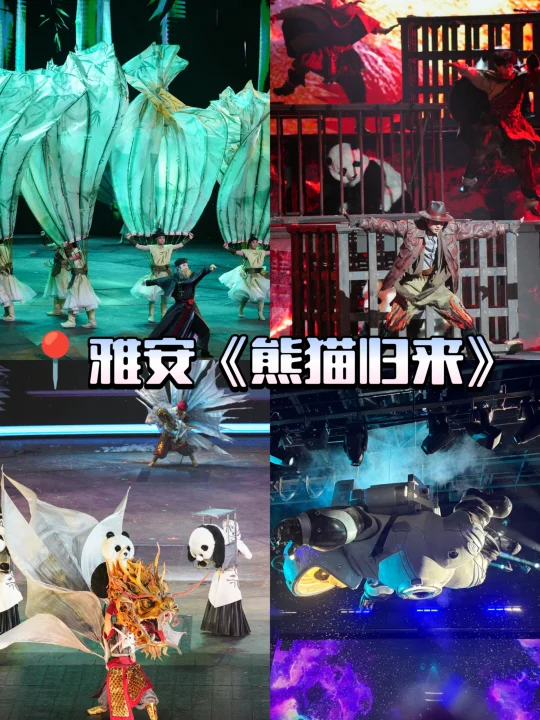 超震撼！被雅安《熊猫归来》硬控住