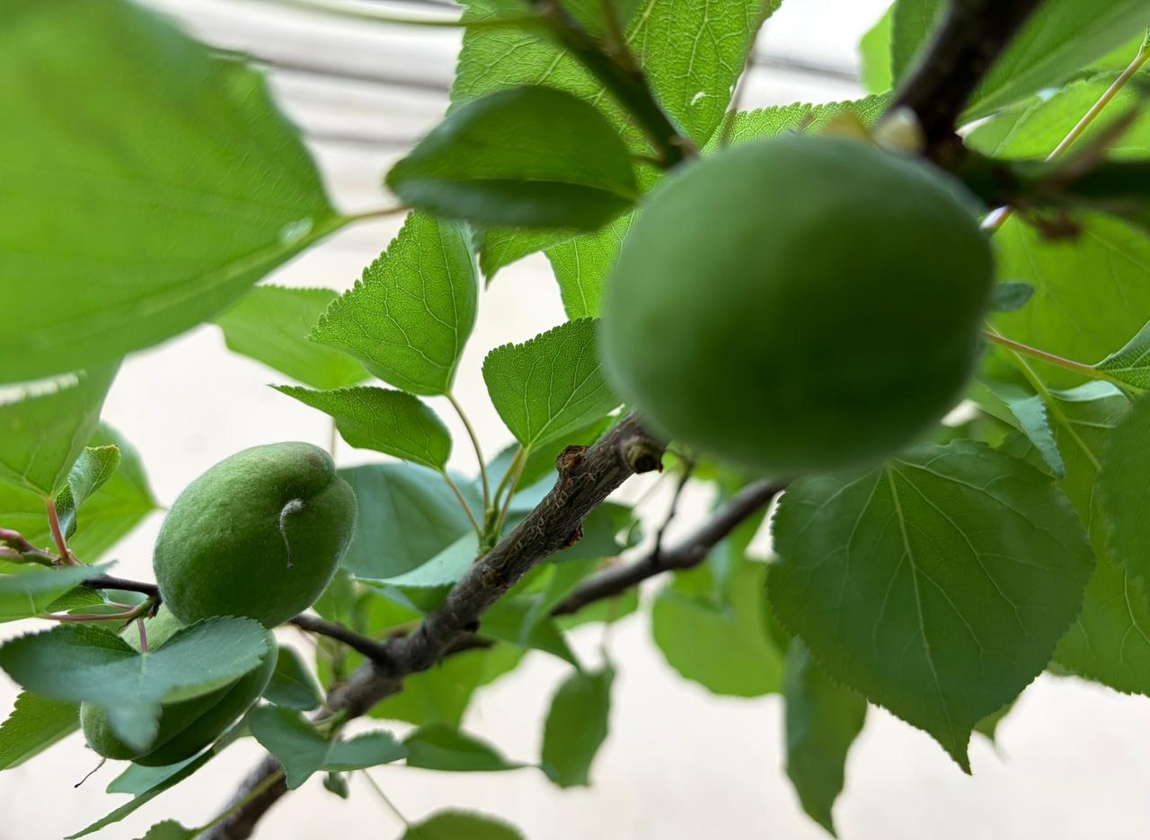 几年前的一个深夜，我和孩子爸带着孩子从婆婆家开车回家。

经过一段河堤路，没路灯