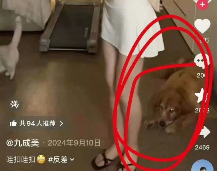 九成美之前发布的视频内容，疑似有和田栩宁同款狗狗、口罩、钢琴，两人还在同一拍摄地
