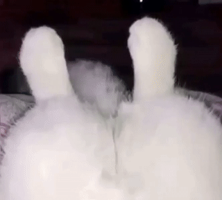 我感觉到它的爽了哈哈哈！！！😂 ​​​