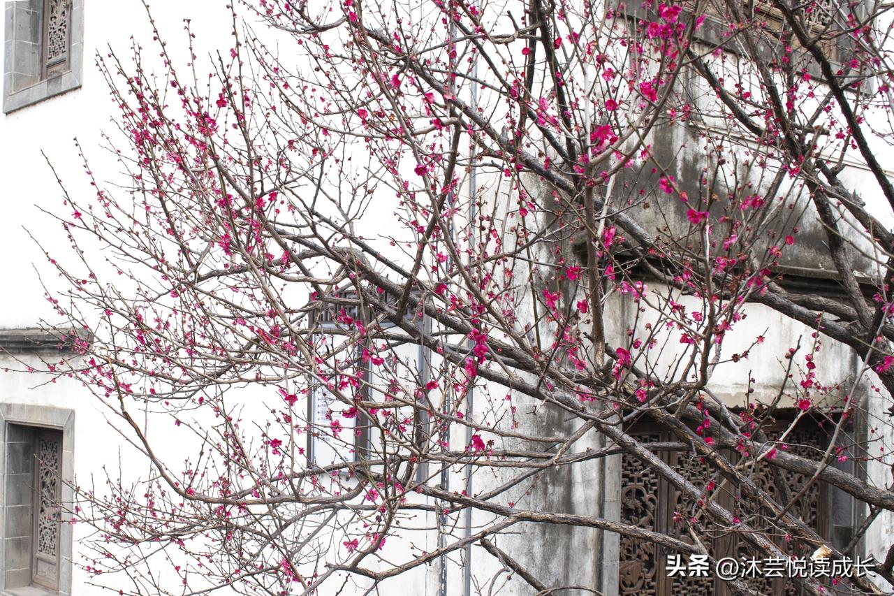 真正会享福的老人，从不委屈自己，都在悄悄做这5件事
 
人老了，最聪明的活法，从