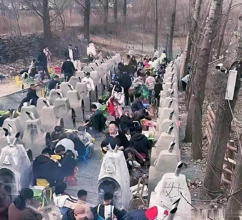没人说我以为是坟 