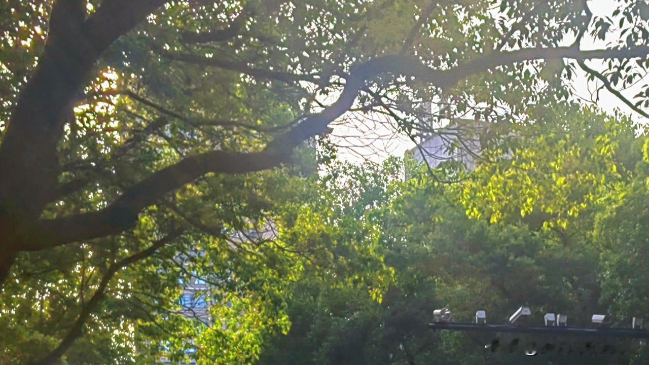 五月四日回新安江，夜里开始下雨，连续好几日，今天终于在午后初晴，下班后随走随拍。