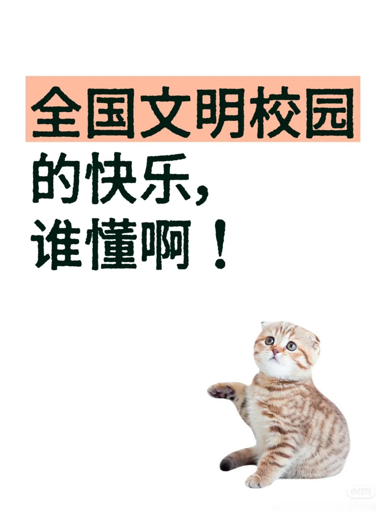 第三届全国文明校园揭晓，湖北新上榜学校如华科华师华师一等教职工今年起会发文明奖吗