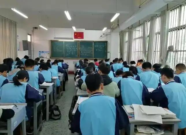 当了多年陪读家长，看过身边无数家庭跟风鸡娃、盲目择校，踩遍了教育的坑，才终于看透