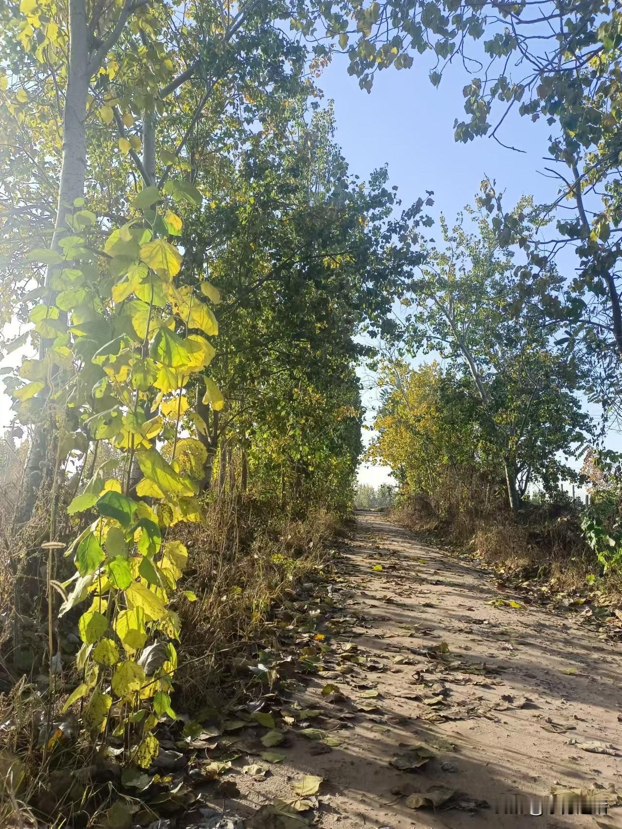 梁东方
秋末冬初，雾霾挥之不去，经常都是中度、重度，让人见了天气预报之后再去窗口