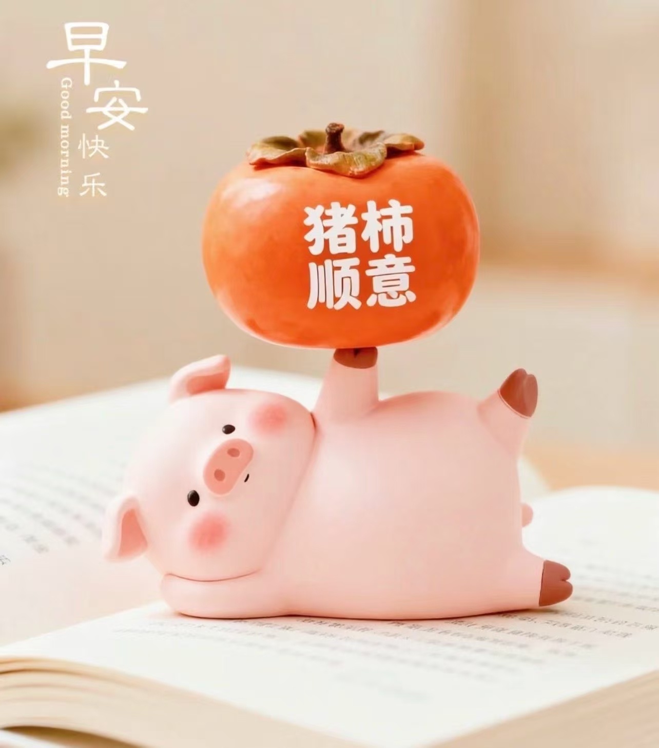 早安  ♡̶𓈒𓏸⸝ꕋ🍒“早安呀！人生最好的治愈，是接纳所有不完美，放下内耗