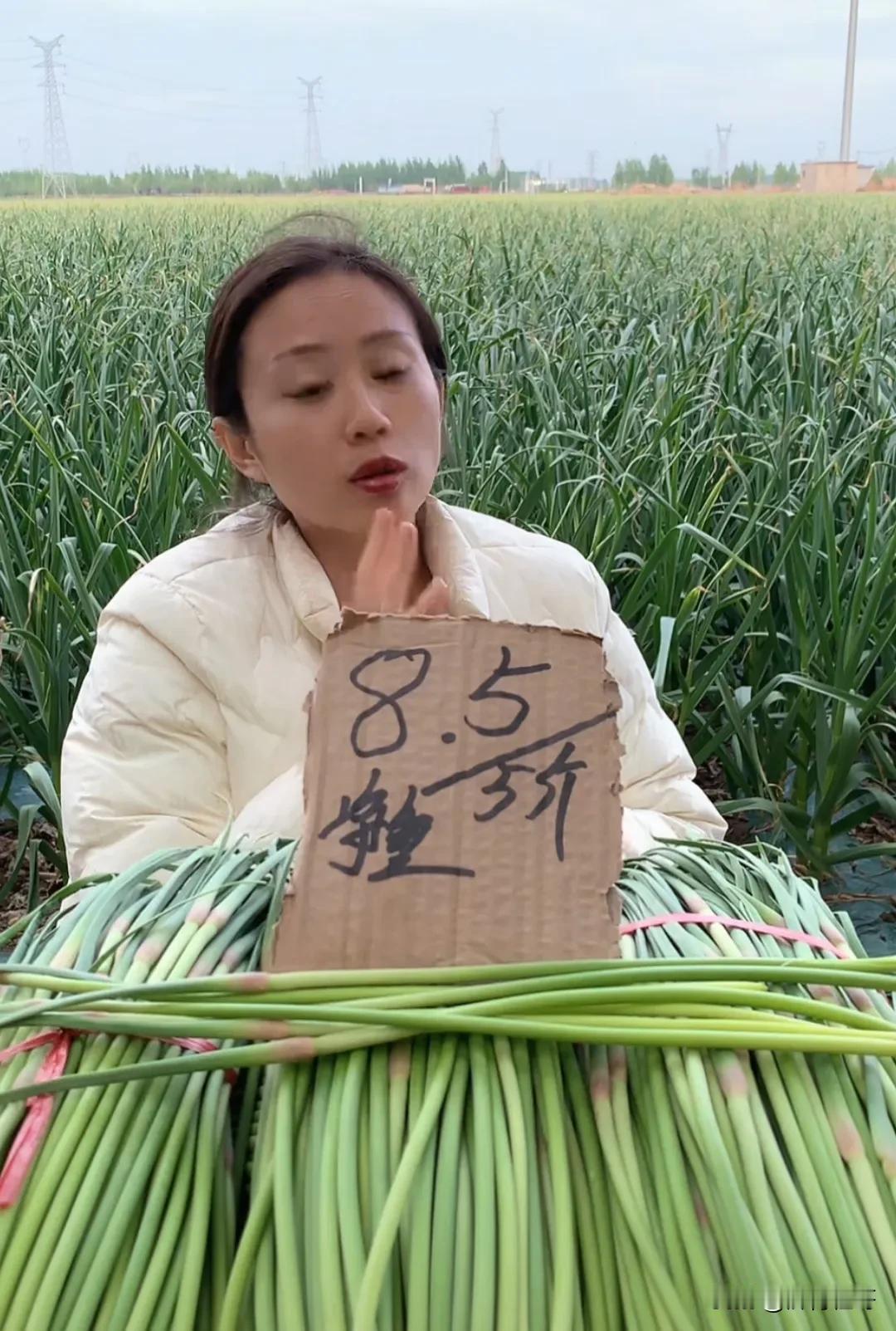 常到市场买菜的朋友可能对菜价比较关心，今年新上市的蒜台特别便宜，现在市场上卖4块