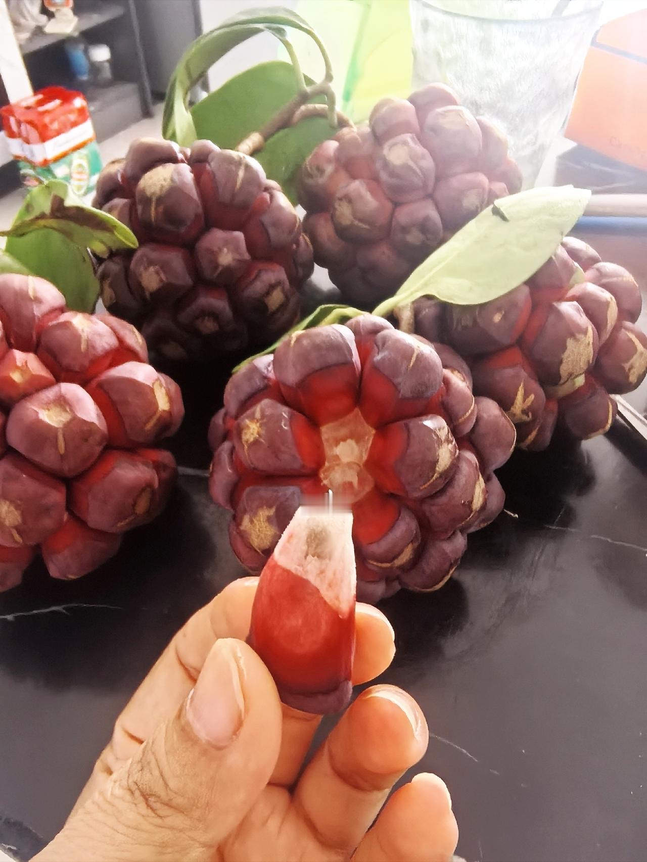 这玩意儿谁吃过，去连子一起吞下去呢还是把子吐掉[笑哭][笑哭]没吃过的水果都想尝