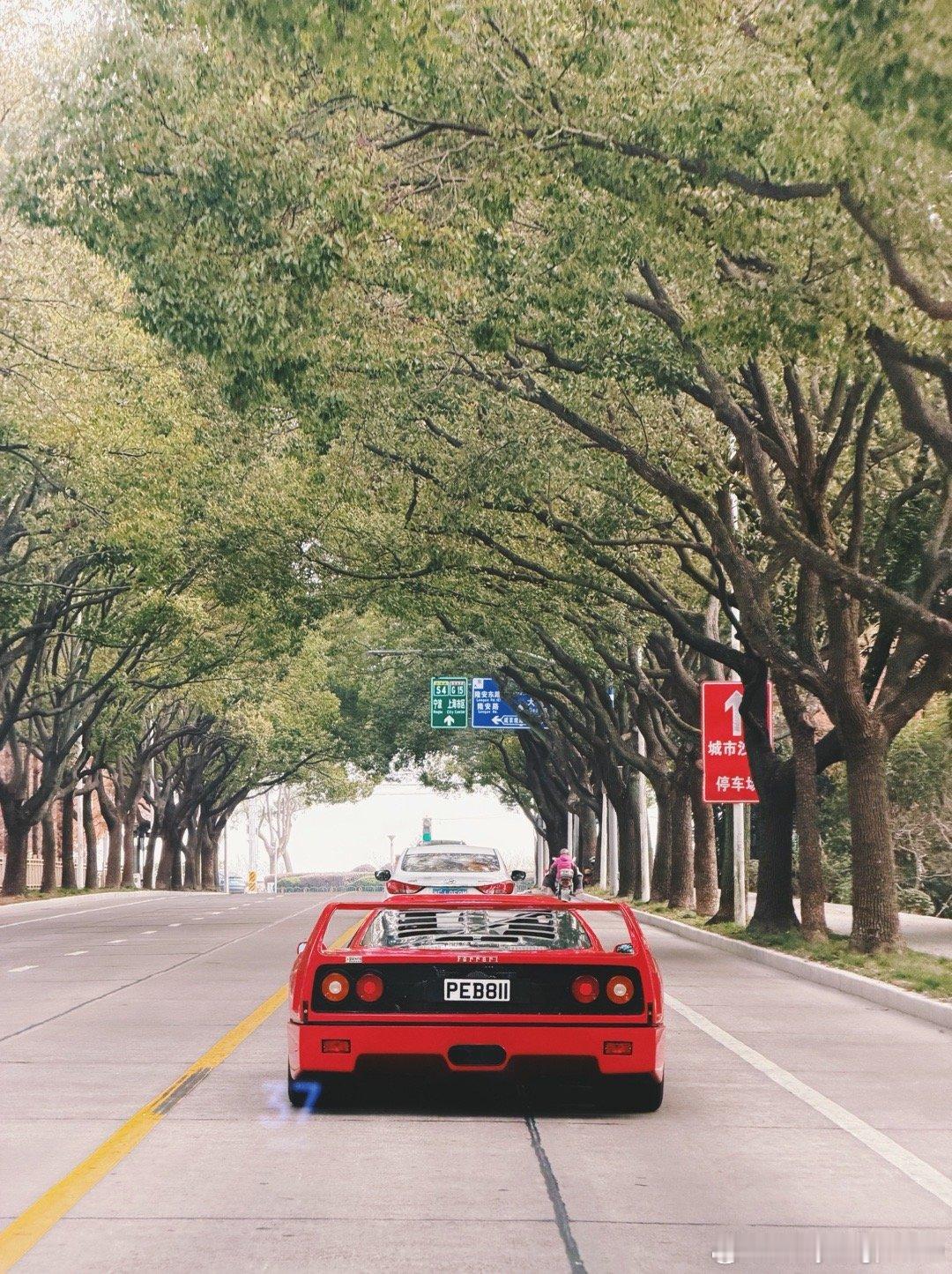 Back to 90s cars01豪车拍 跟着F40 在上海乡下的街头的感觉真
