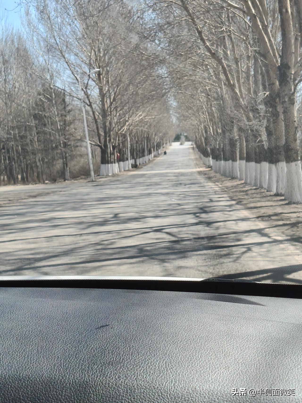 看看真是自己错吗