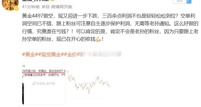黄金空单，自动止盈 黄金4497空，行情下破目标4450，自动止盈470点利润！