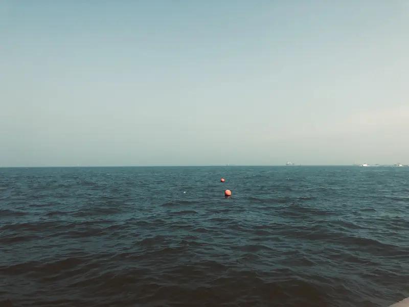 中年沉静地走向大海，那画面美得令人窒息。人到中年，宛如山间的湖泊，少了二十岁小溪