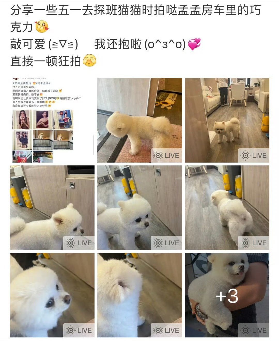 有私生靠剧组关系私自在未经孟子义本人允许情况下上孟子义房车，随意拍摄孟姐房车内部