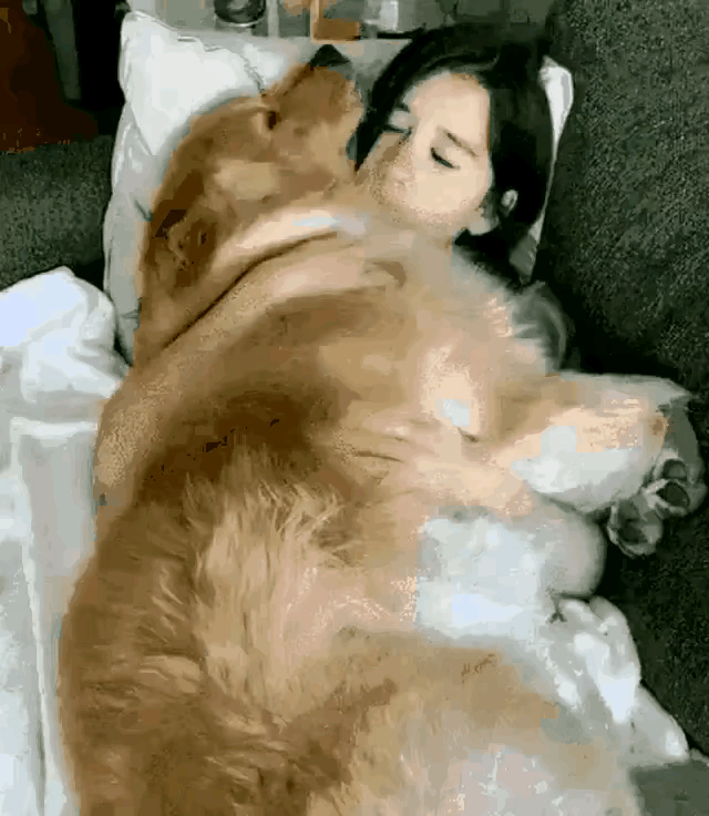 视频中这个女子抱着一狗狗狂亲，但是狗狗却左右躲避，根本不配合她。

我们都知道，