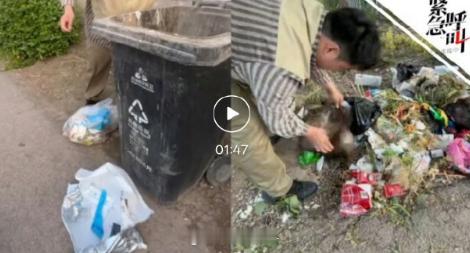 榴莲仅退款事件行政处罚结果终于出结果了！那个P榴莲发霉图骗190块退款的山东买家