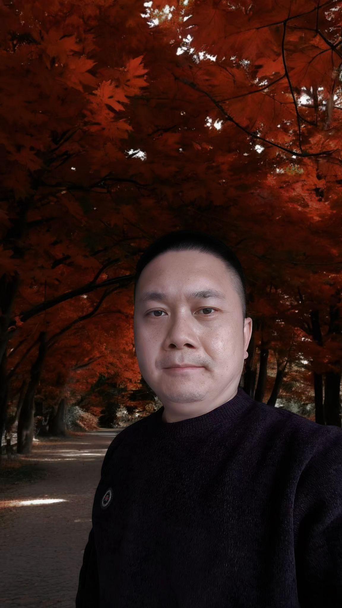 秋天的叶随落日与秋风缠绵