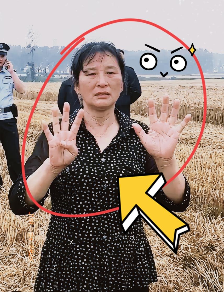 襄阳那位“割四赔五”的大妈，
终于低头了！

谁能想到远道帮忙收麦子的河南小夫妻