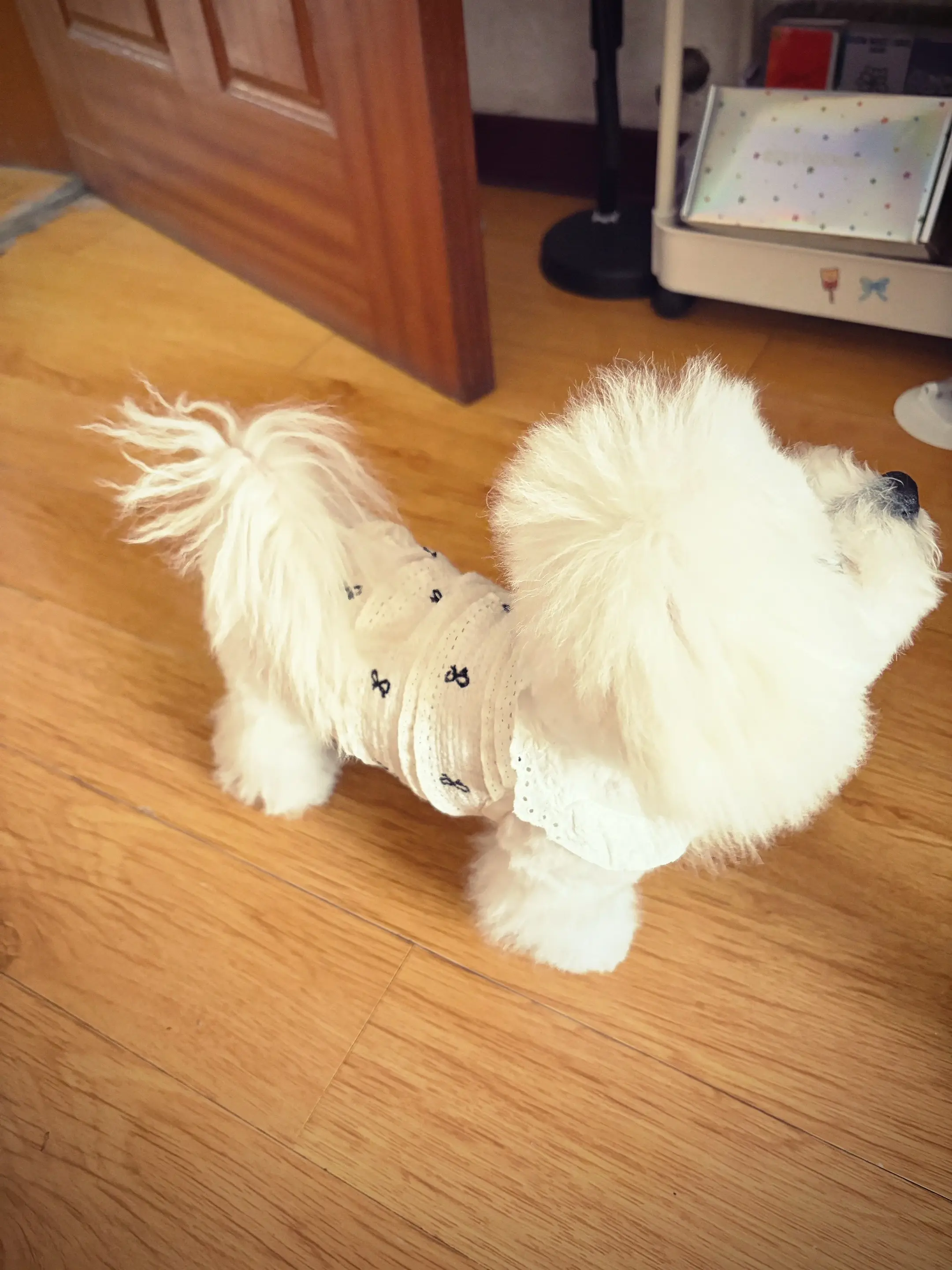 ʚ⑉•ᴗ•⑉ɞ今天是韩剧女主人设˙ᵕ˙☁ ✩‧ ₊